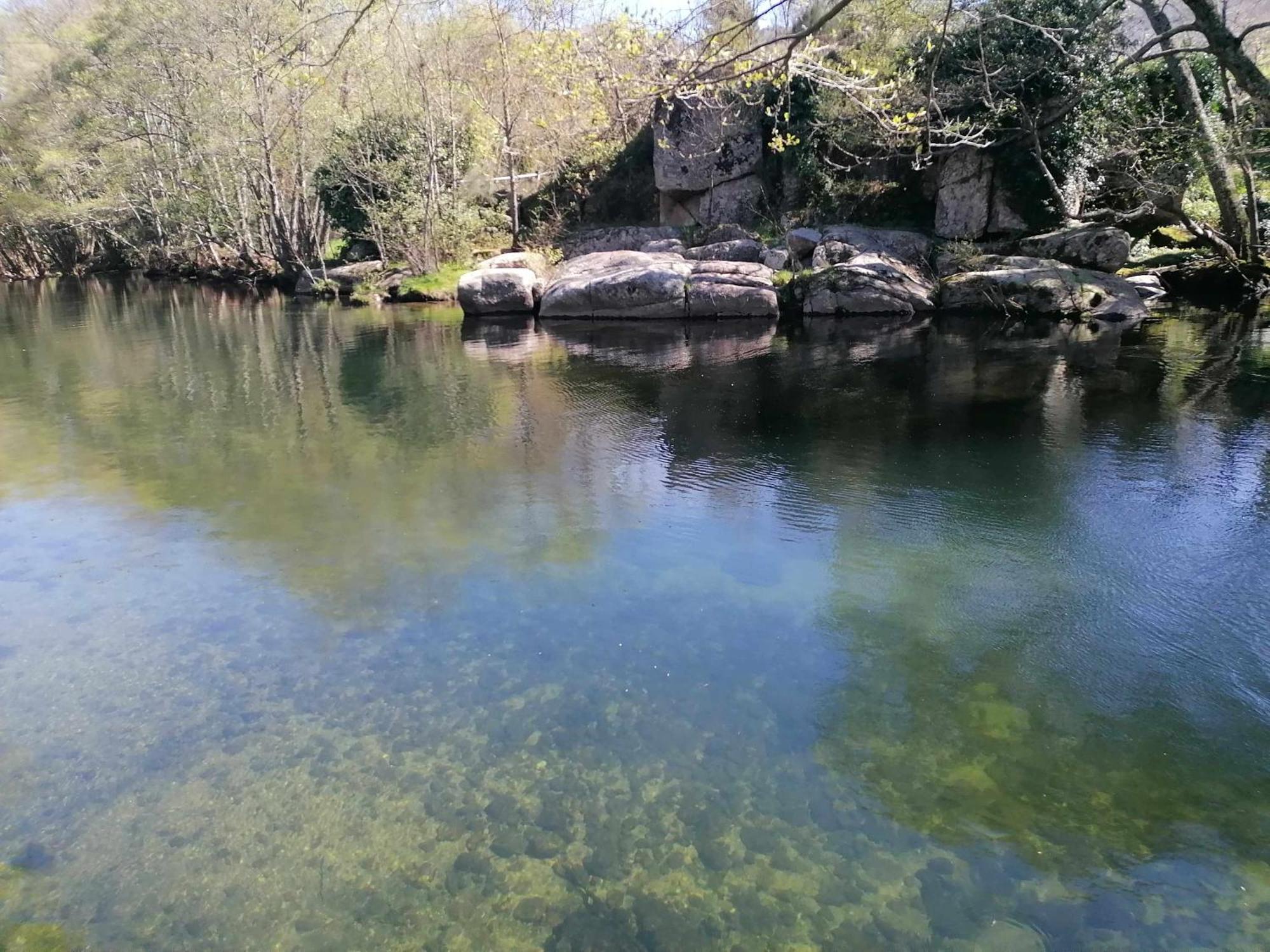 Quinta Do Moinho Turismo De Natureza Aldeia Vicosa 외부 사진