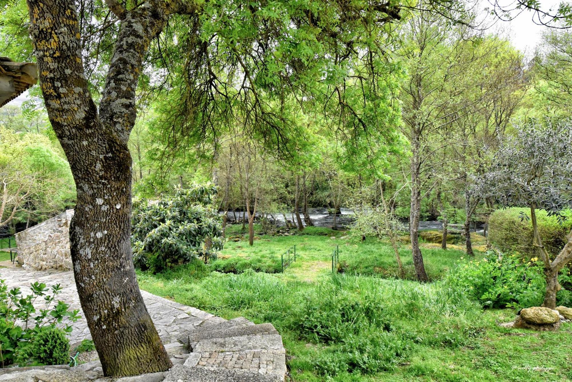 Quinta Do Moinho Turismo De Natureza Aldeia Vicosa 외부 사진